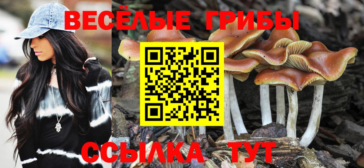 Псилоцибиновые грибы Psilocybine cubensis  Вход с VPN  Заводоуковск 